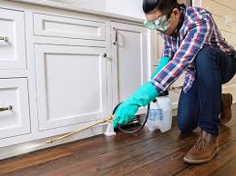 Best Real Estate Pest Inspections  in Benton, TN